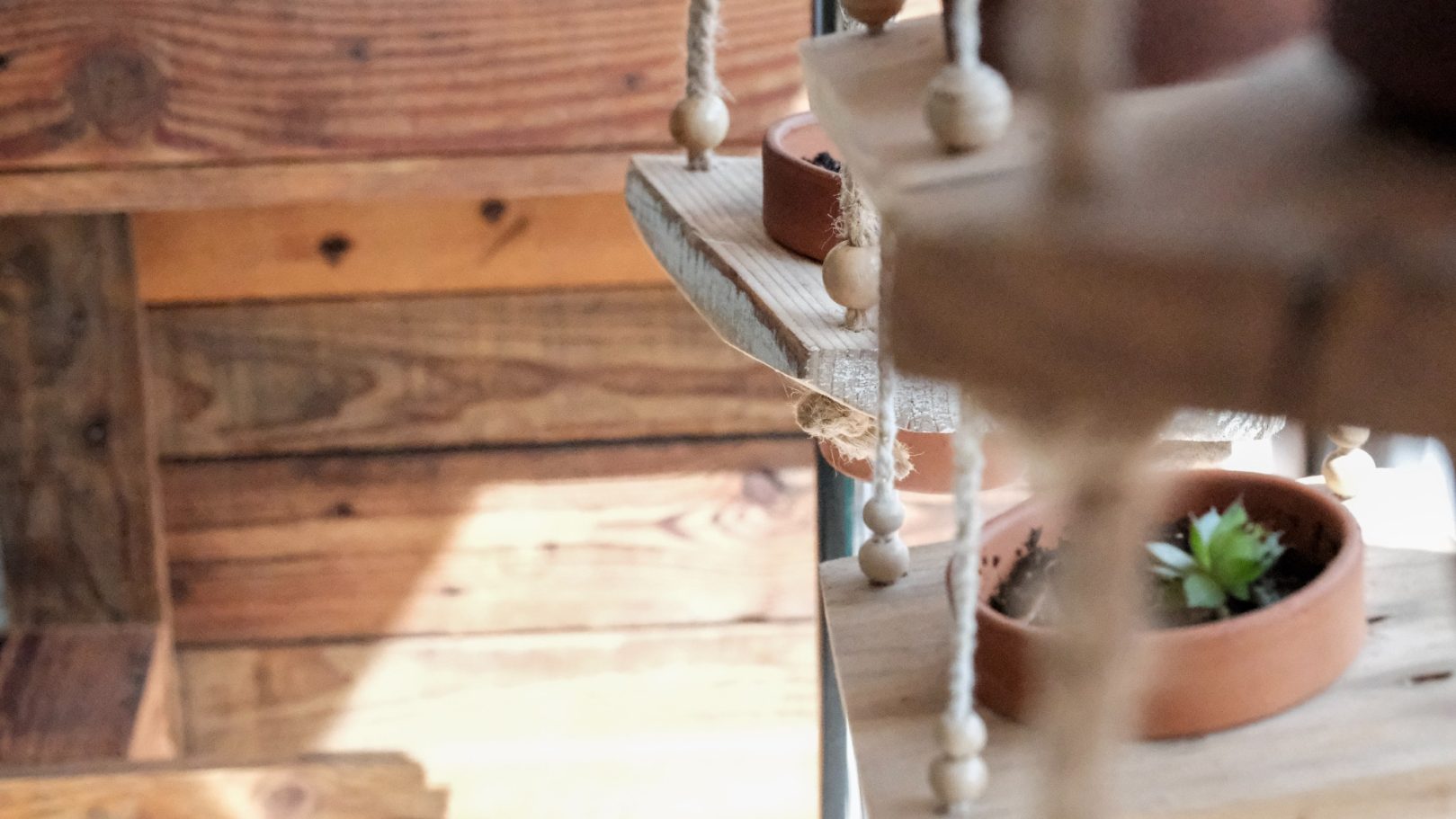 EPHEMART - artiste ToDoInPalette